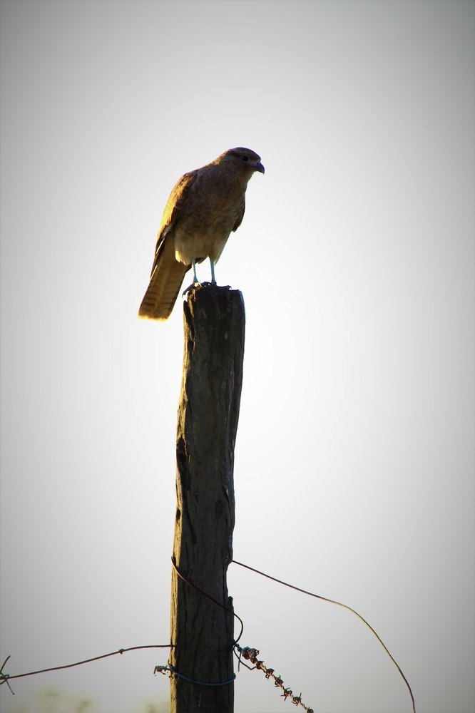 Photograph by Diego Maximiliano Giubergia