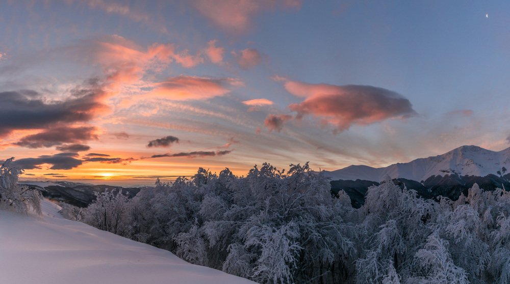 Photograph by Jeni Vladeva