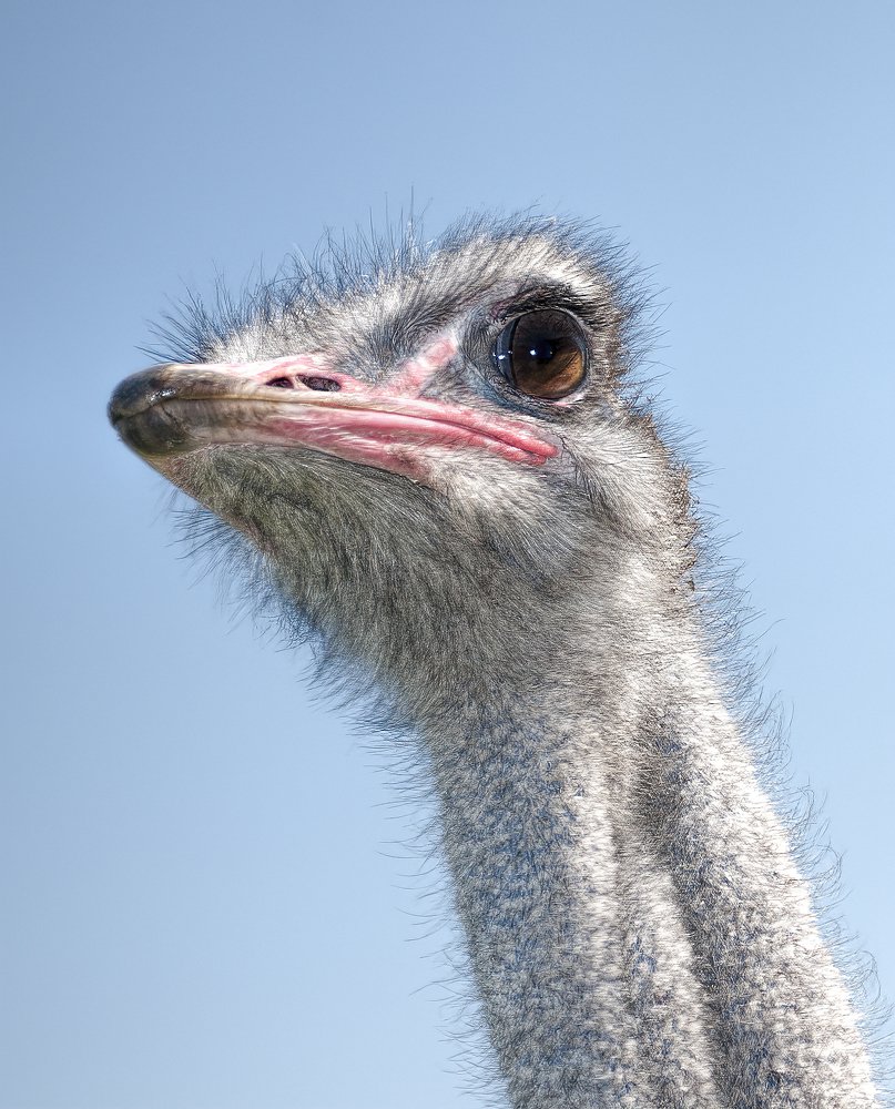 Photograph by Irina Grigoryeva