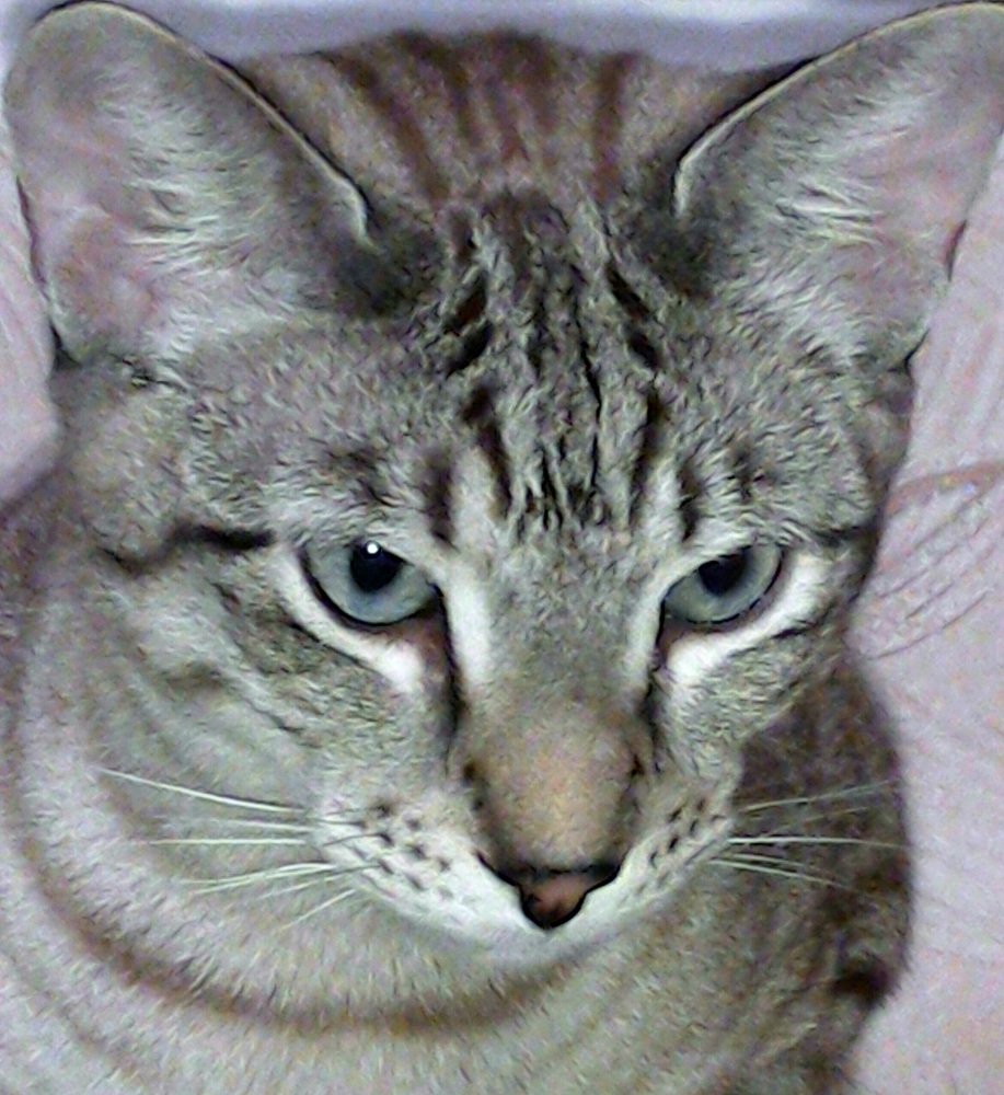 Photograph by Михаил Обертаев