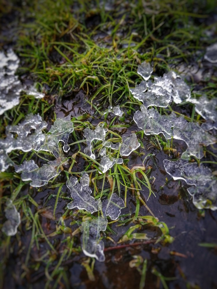 Фотография автора Евгения Снигирева