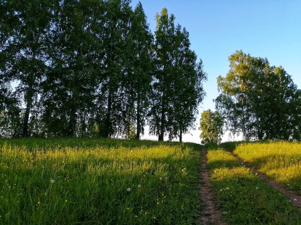 Фотография автора Евгения Снигирева