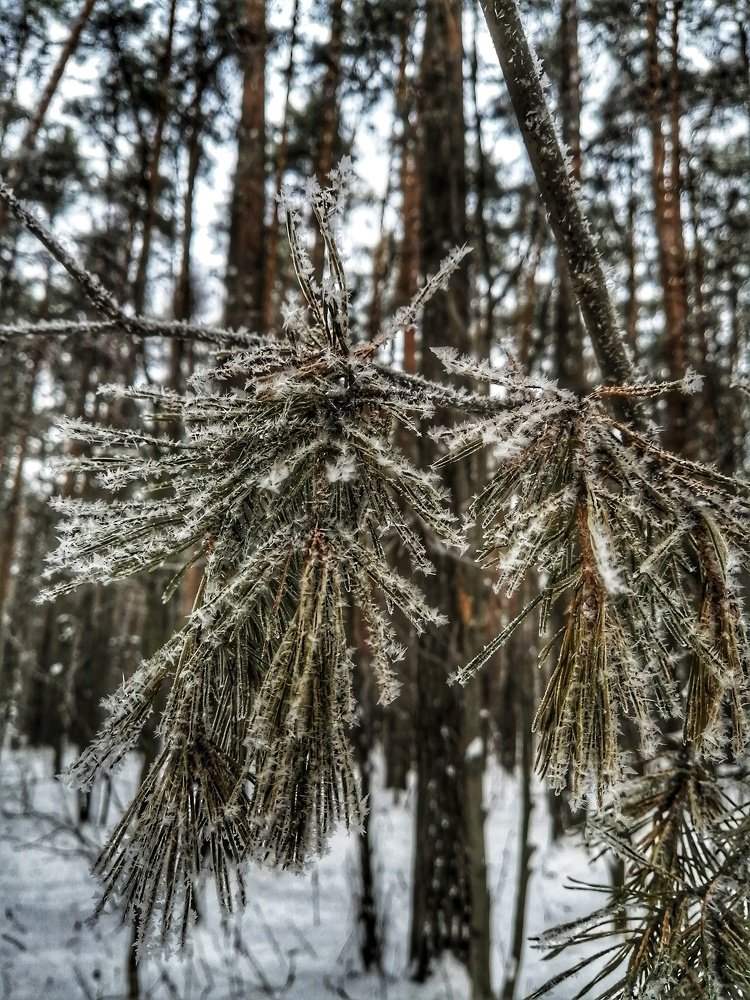 Фотография автора Евгения Снигирева