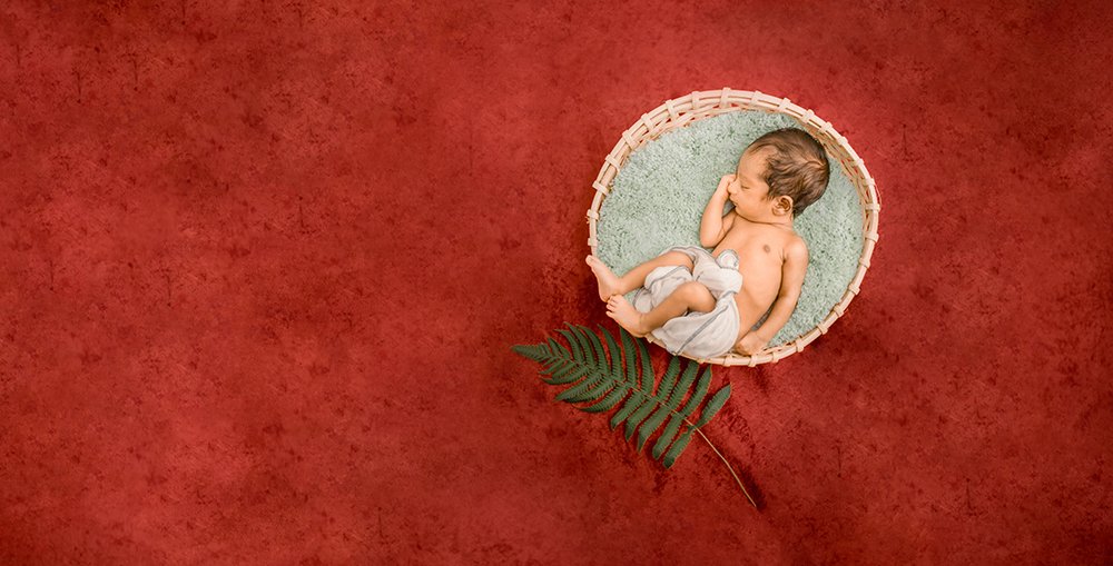 Photograph by  Hemal Perera