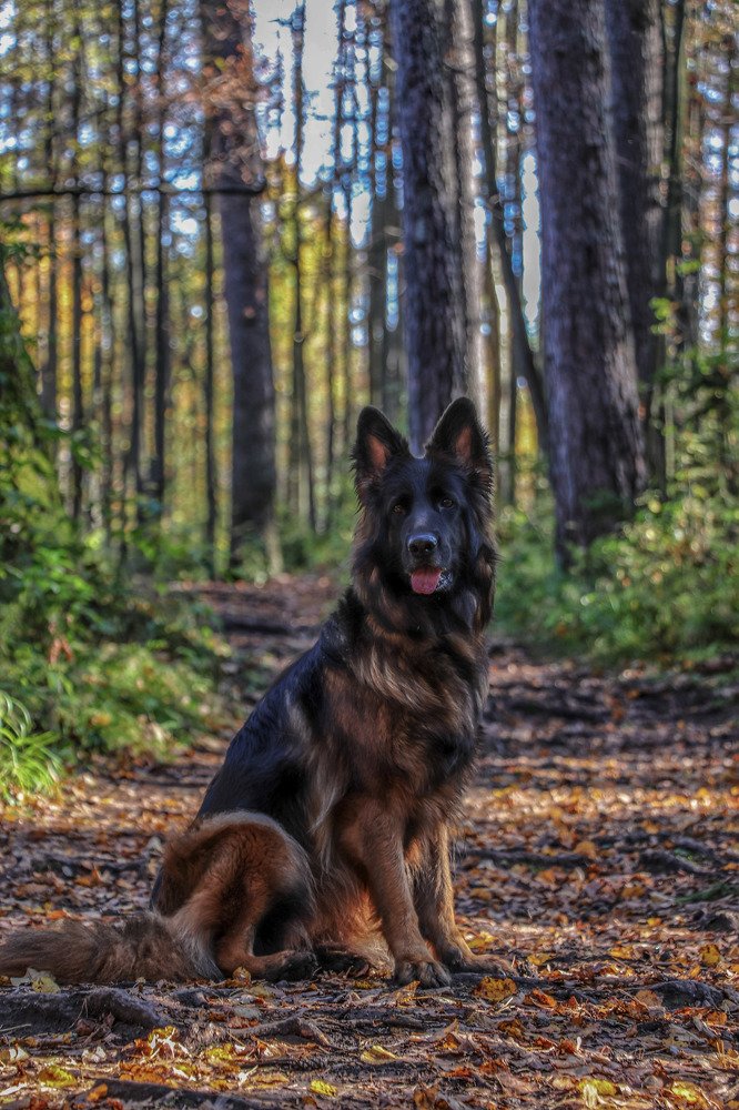 Photograph by Алексей Ошвинцев