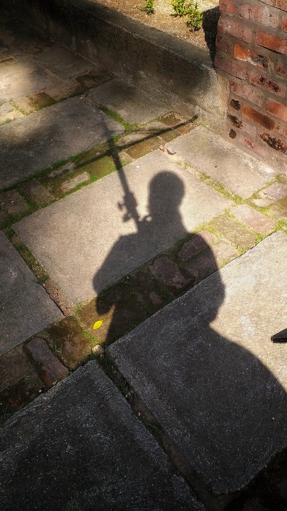 Shadow