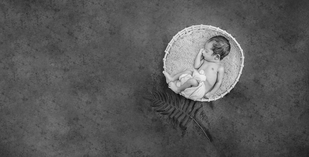 Photograph by  Hemal Perera