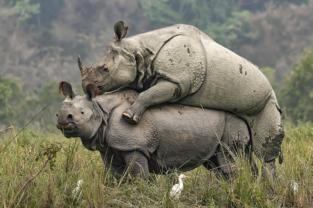 Photograph by ARKADEEP DAS