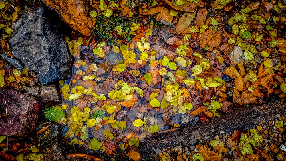 Photograph by Nima Almasi