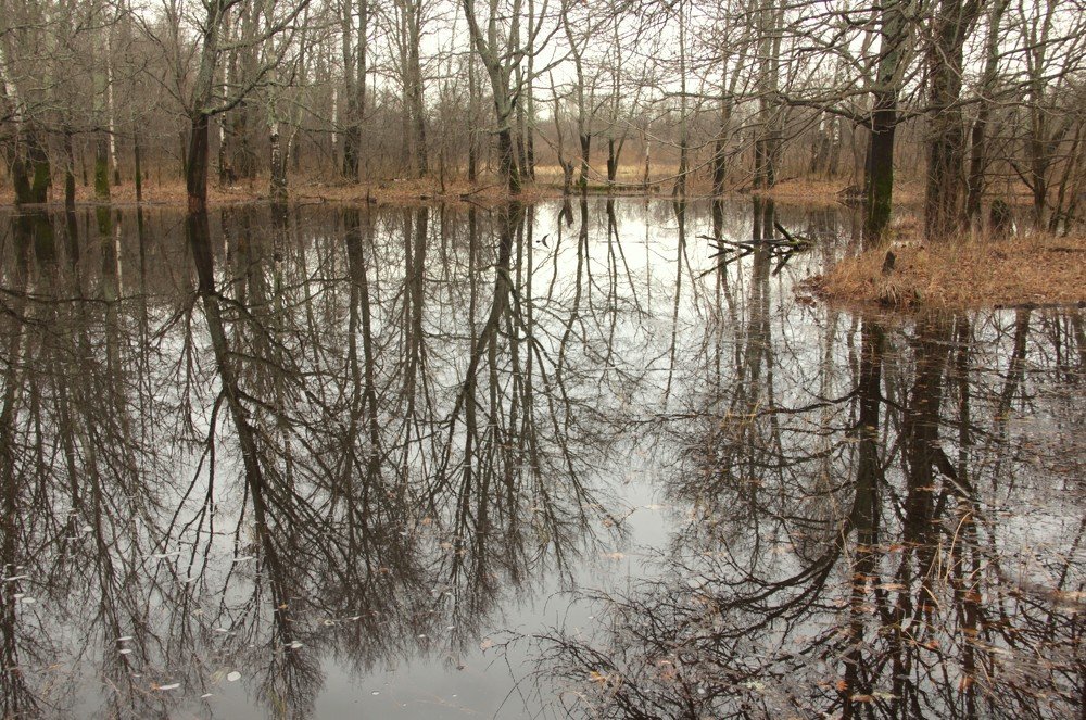 Photograph by Лада Денисова