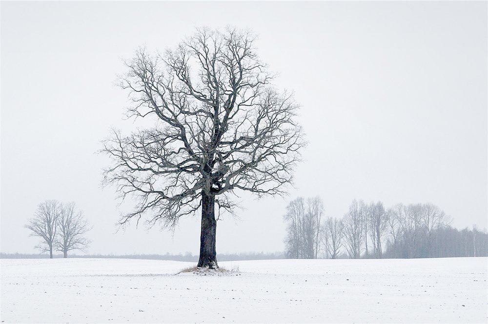 Photograph by Juris Buklovskis