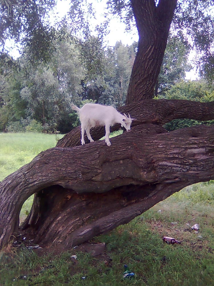 Photograph by Евгений Максименко