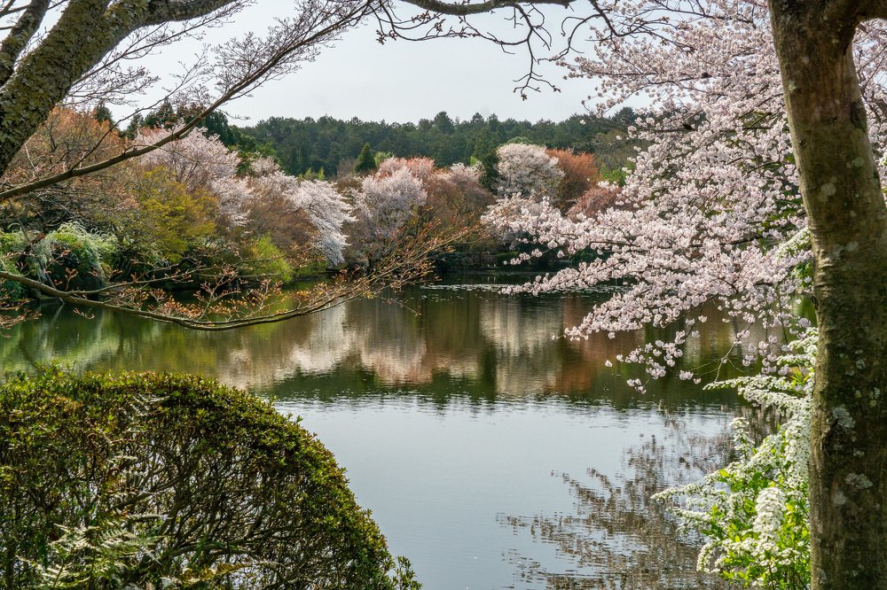 Photograph by Jeni Vladeva