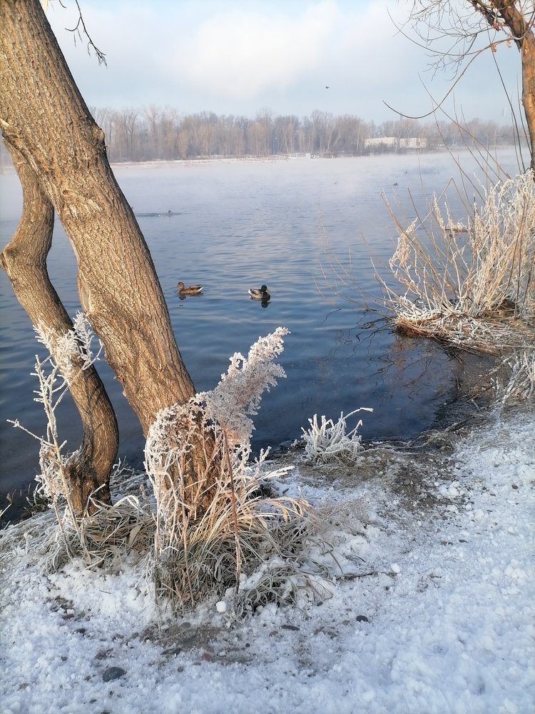 Photograph by Юлия Гагарина