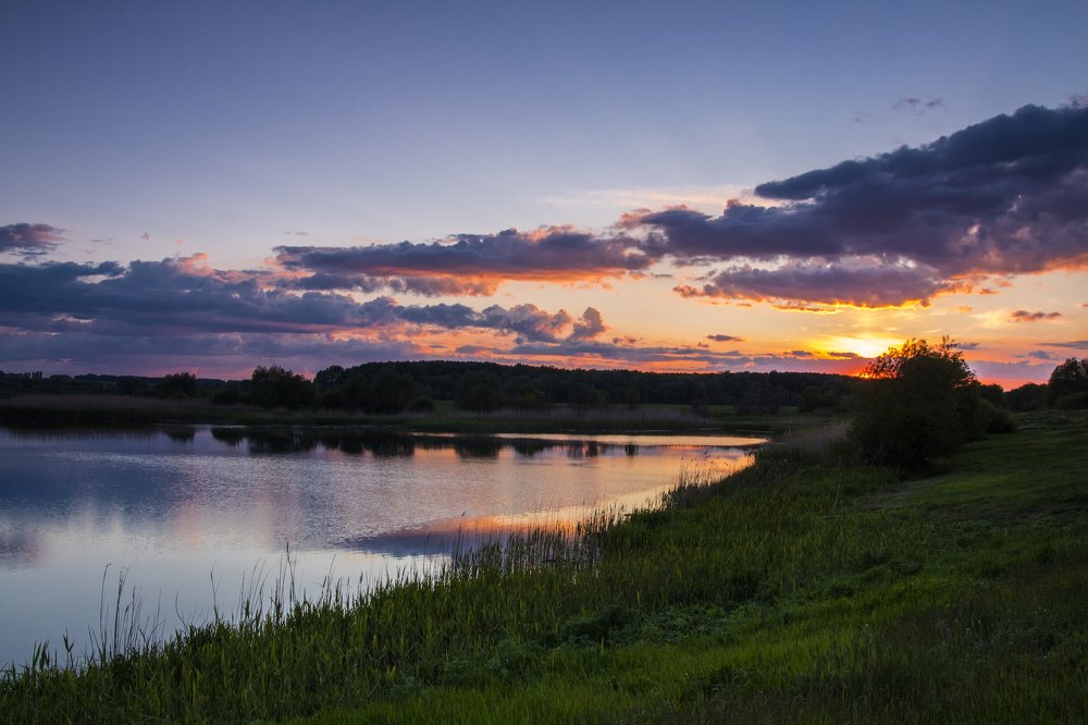 Photograph by Дмитрий Тимин