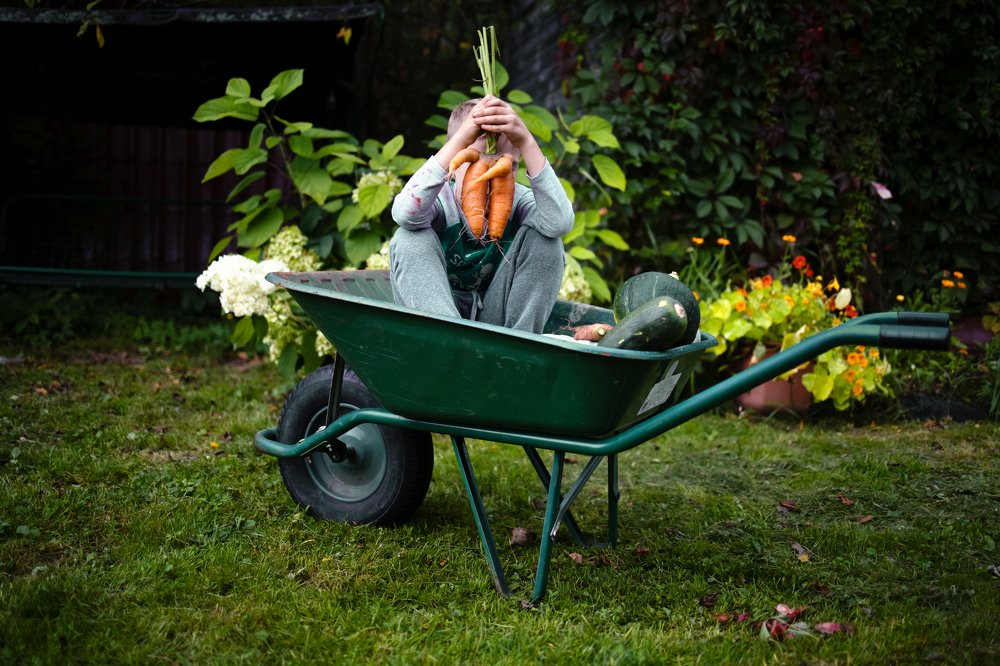 Photograph by Ирина