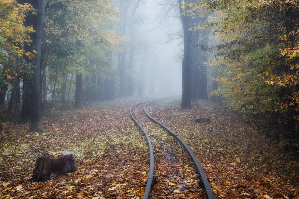 Photograph by Pavlo Lys