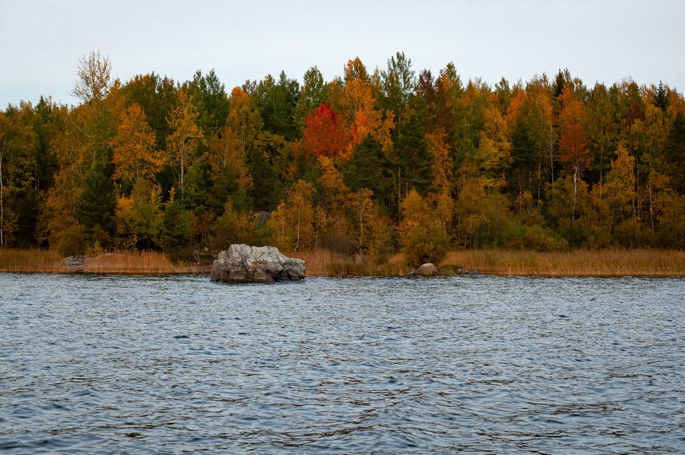 Photograph by Дмитрий Карасев