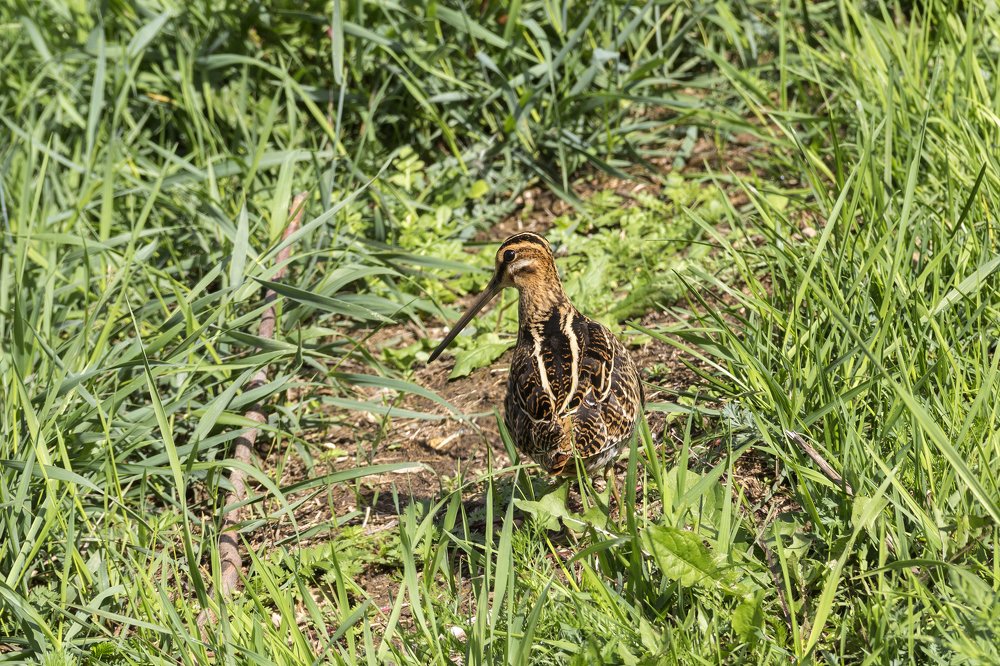 Photograph by Утёмов Сергей