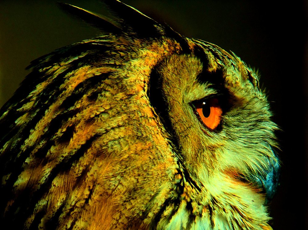 Photograph by Алтынбек Қартабай