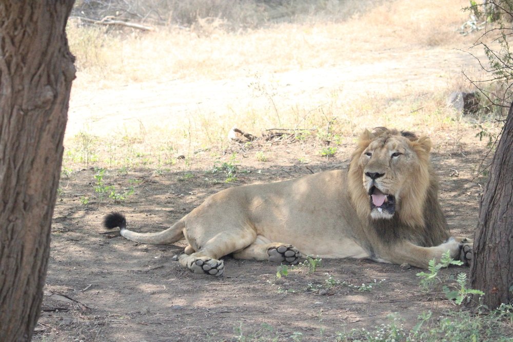 Photograph by Vishwa Trivedi