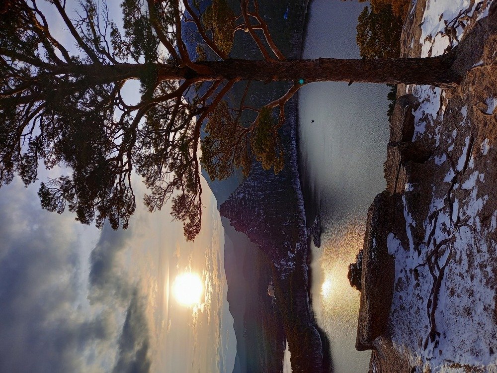 Photo #5325893