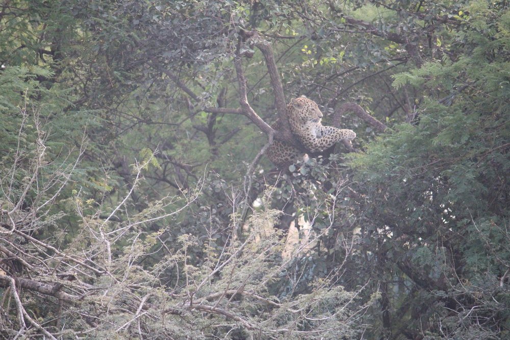 Photograph by Vishwa Trivedi