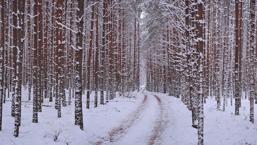 Photograph by Юрий Яковлев