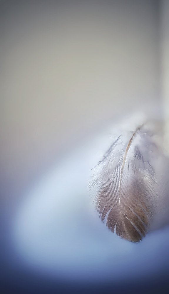 Photograph by Алена Круглик