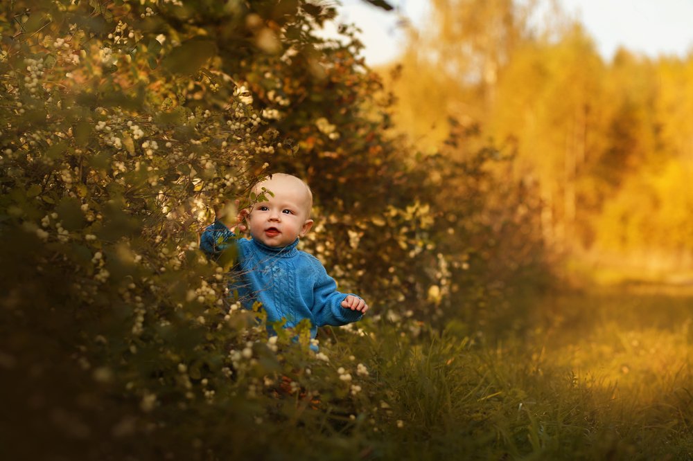 Photograph by Мария Петухова