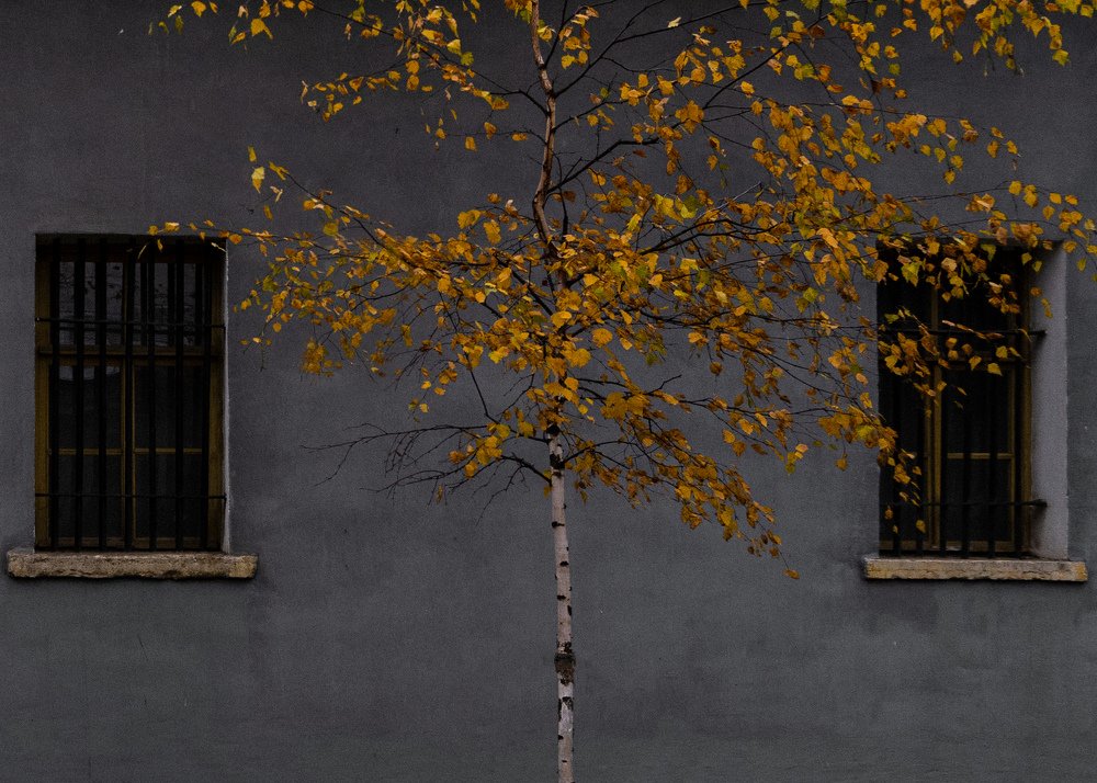 Photograph by Екатерина Кваша