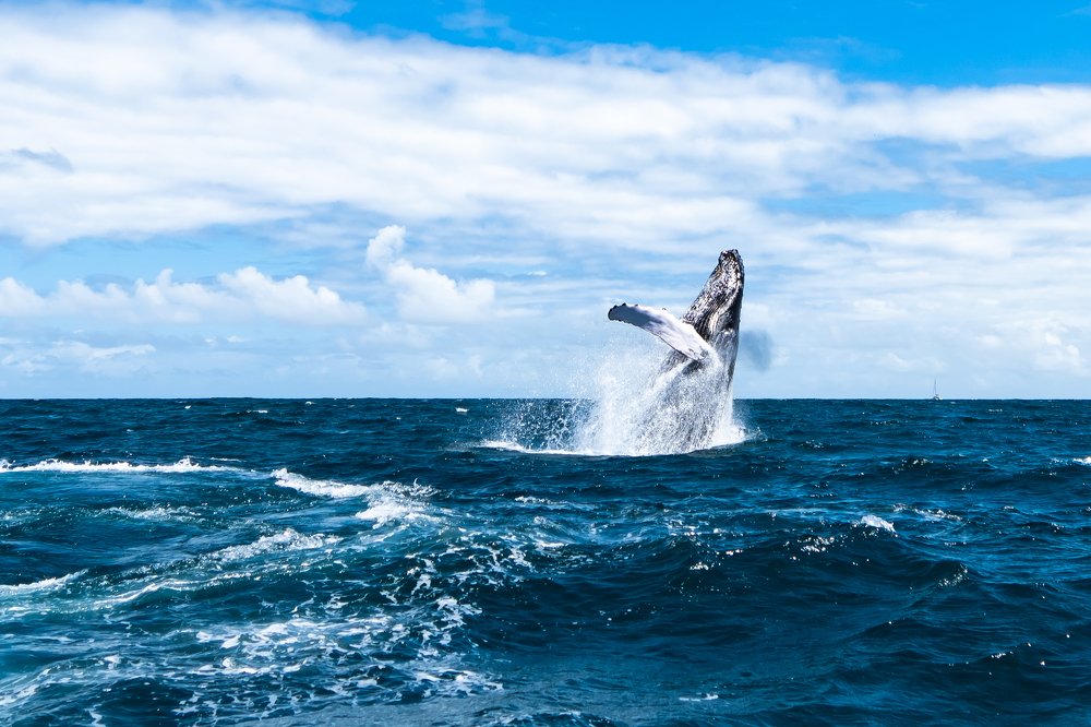 Photograph by Иван Кондырев