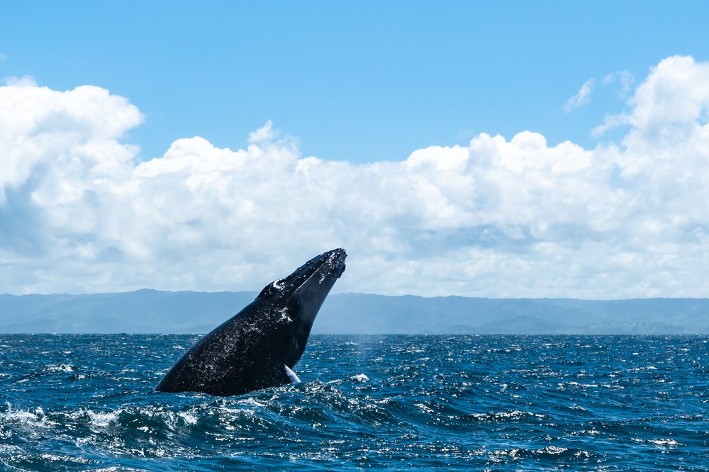 Photograph by Иван Кондырев