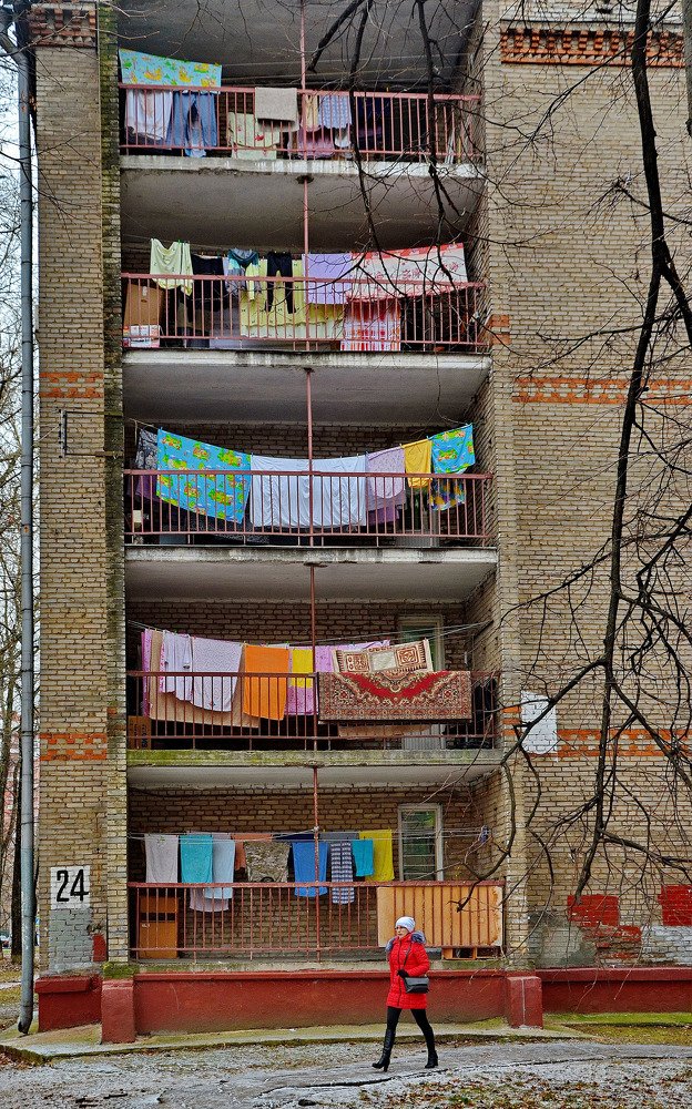 Суровая жизнь в ярких красках