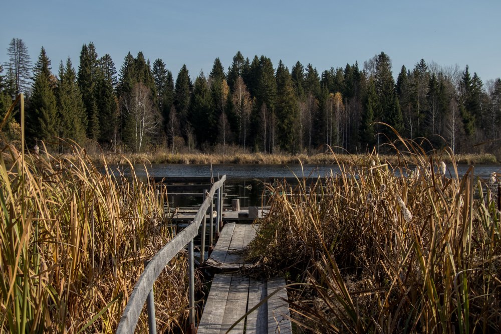 Photograph by Алексей Ошвинцев