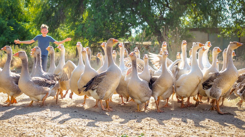 Photograph by Екатерина Кваша