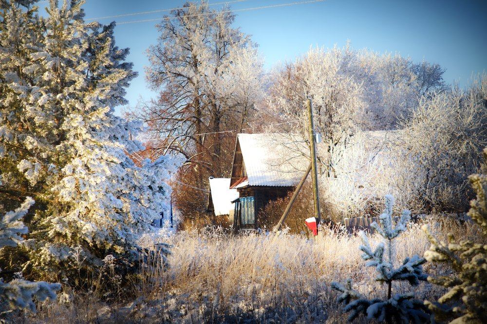 Photograph by Сергей Забиякин