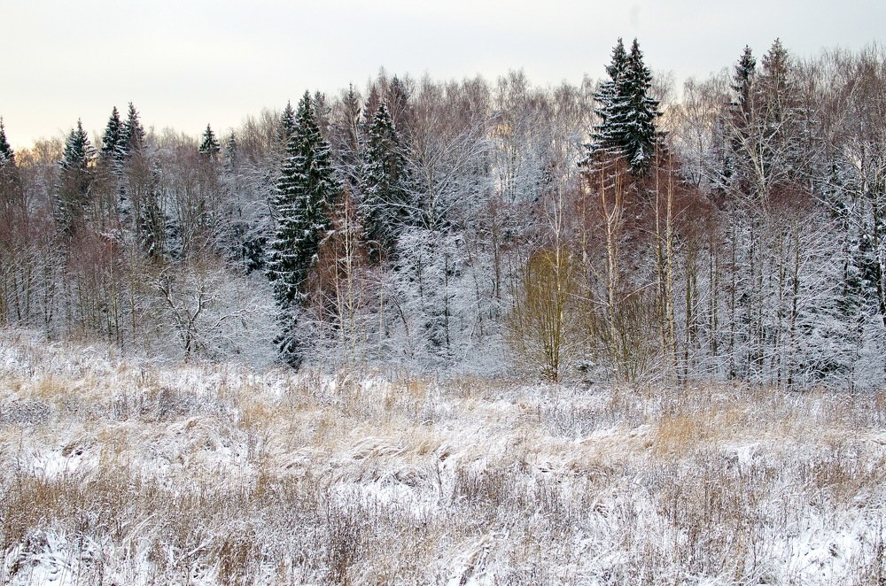 Photograph by Александр Шумаков