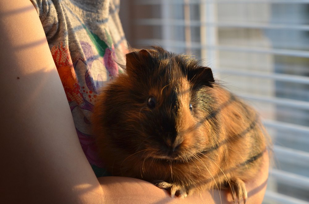 Весеннее прогревание