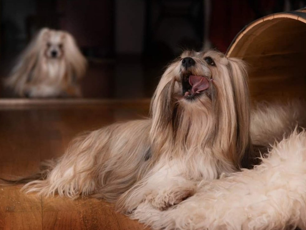 Фотография автора Anna NovaLova