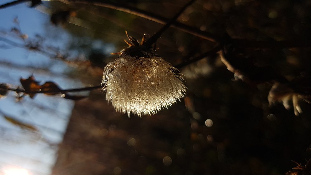 Photograph by Хачик Аджатян