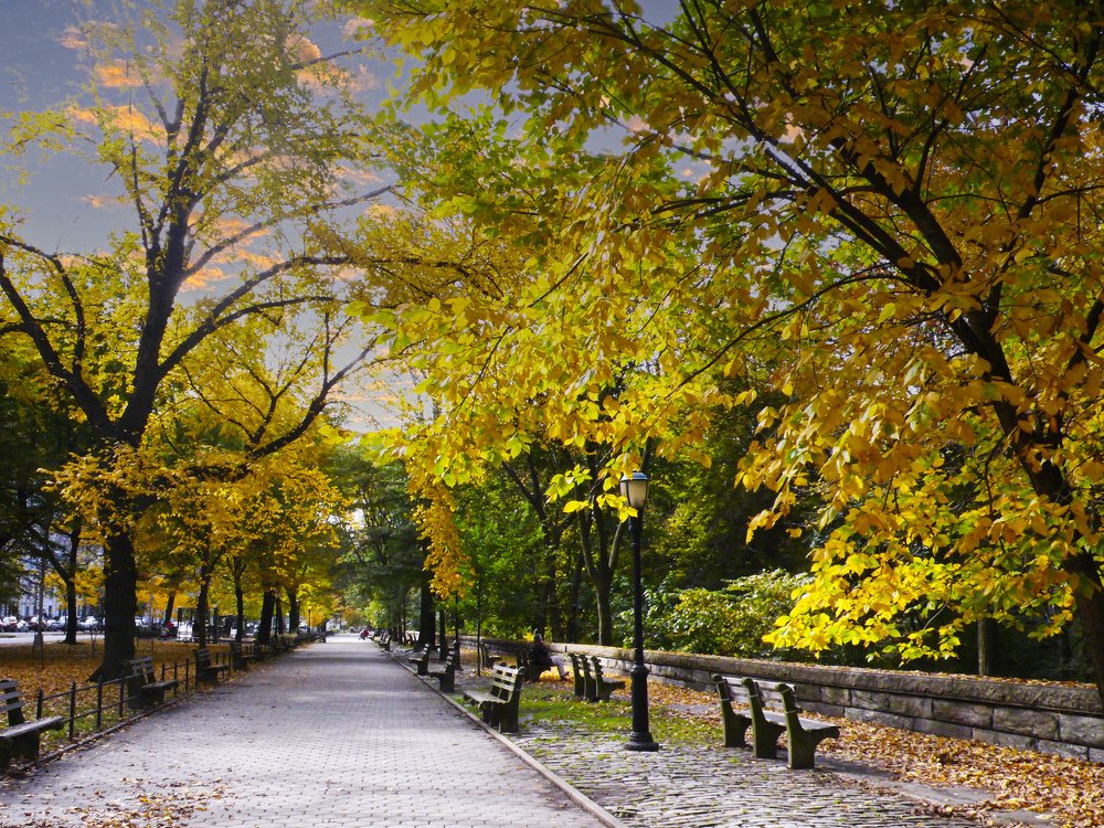 Photograph by Cesar Lorenzano