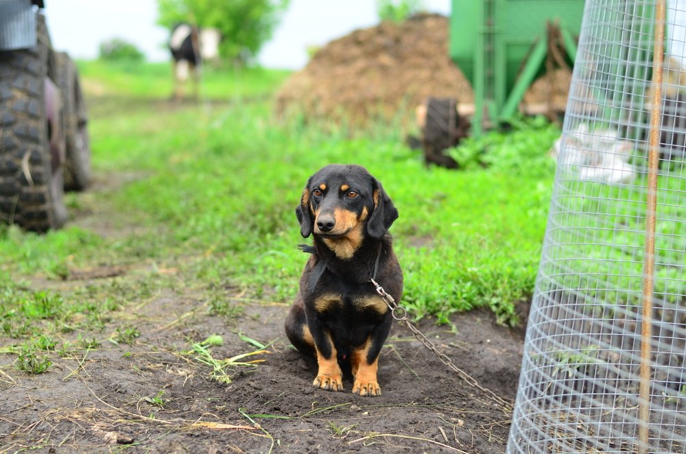 Photograph by Юлия Дякина