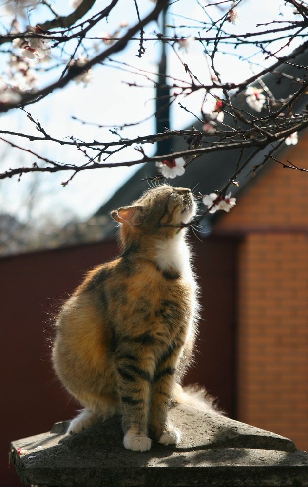 Фотография автора Ольга Ткаченко