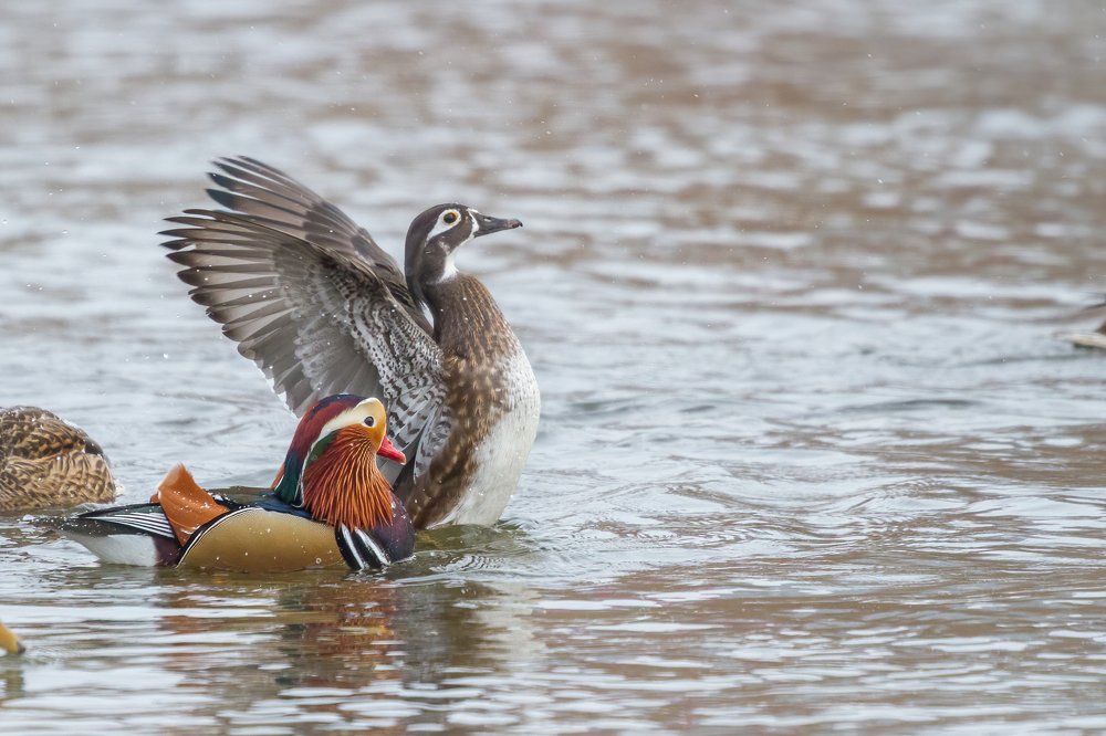 Photograph by Артем