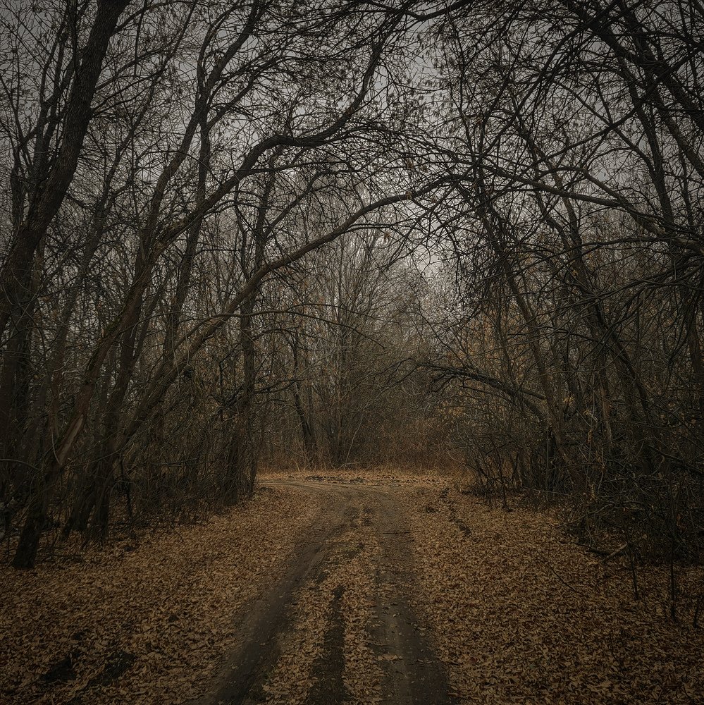 Photograph by Карякин Александр