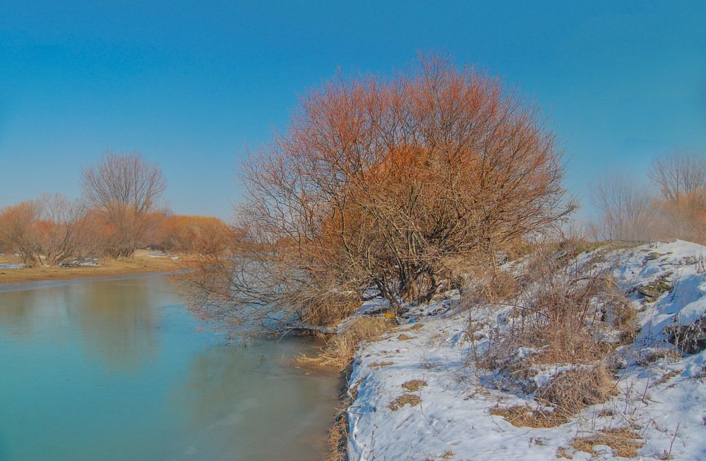 Photograph by said-art