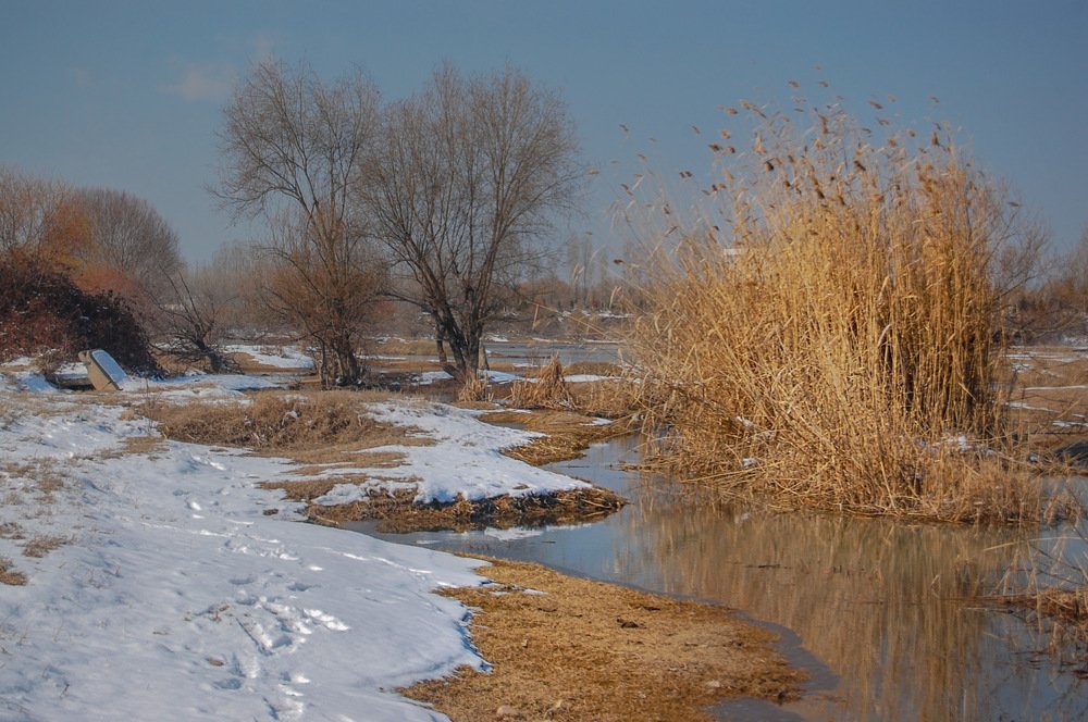 Photograph by said-art