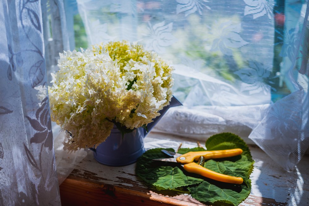 Photograph by Марина Колпакова