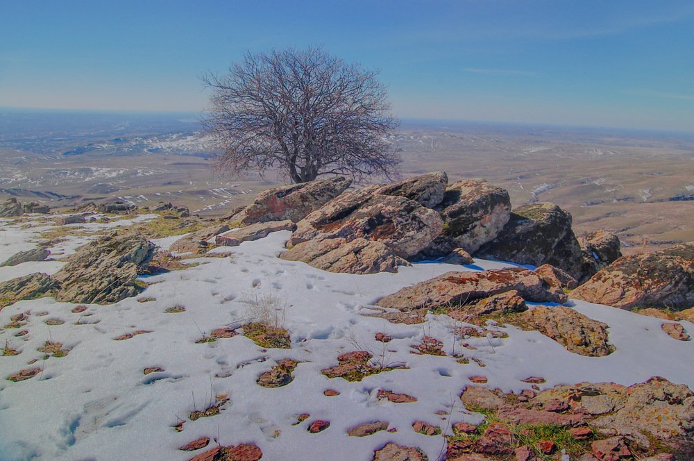 Photograph by said-art